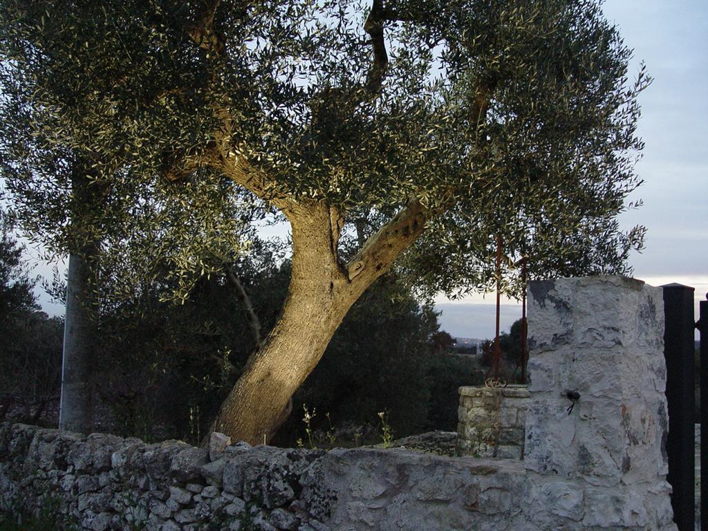 Trullo Sereno Angelo ロコロトンド エクステリア 写真